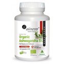 Organic Ashwagandha 5% KSM-66 500mg suplement diety 100 kapsułek VEGE